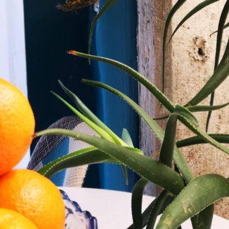 Apartments Kremenic ツレス エクステリア 写真